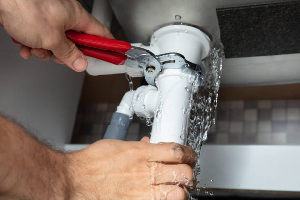 Best Local water damage restoration  in Rainbow City, AL