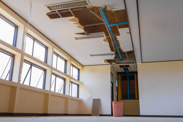 Best Professional water damage repair  in Rainbow City, AL