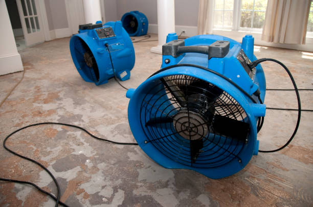 Best Water damage restoration near me  in Rainbow City, AL