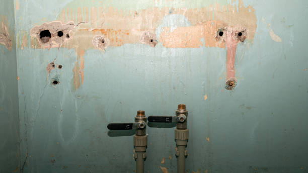  Rainbow City, AL Water damage restoration Pros