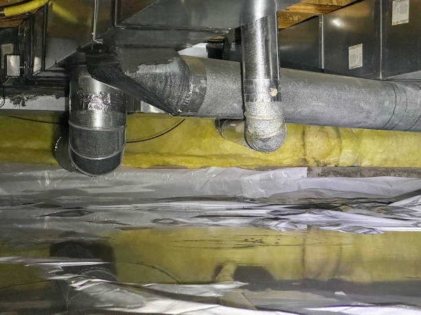 Best 24/7 water damage repair  in Rainbow City, AL