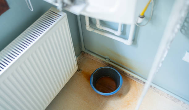 Best Water damage restoration near me  in Rainbow City, AL