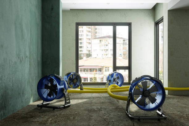 Best 24-hour water damage restoration  in Rainbow City, AL